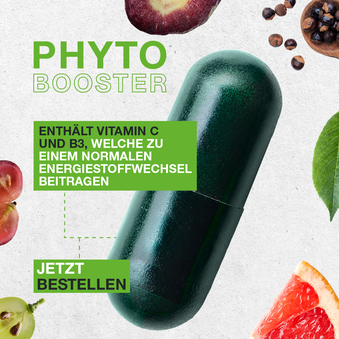 Phyto Booster 60 Tabletten