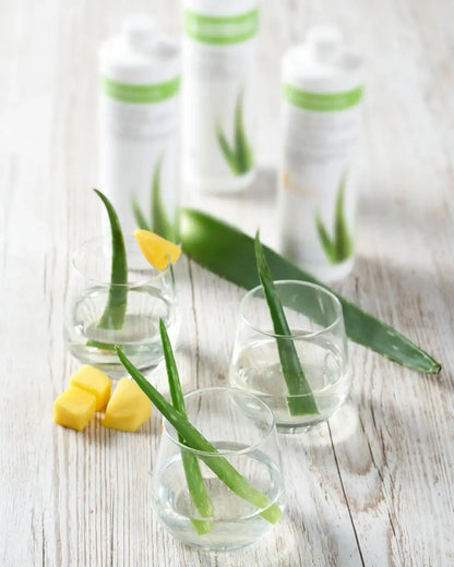 Aloe Vera Getränkekonzentrat Geschmacksrichtung Mango 473 ml Herbalife