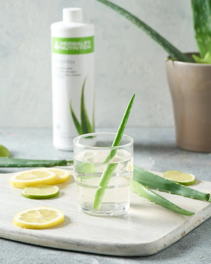 Aloe Vera Getränkekonzentrat Geschmacksrichtung Mango 473 ml Herbalife